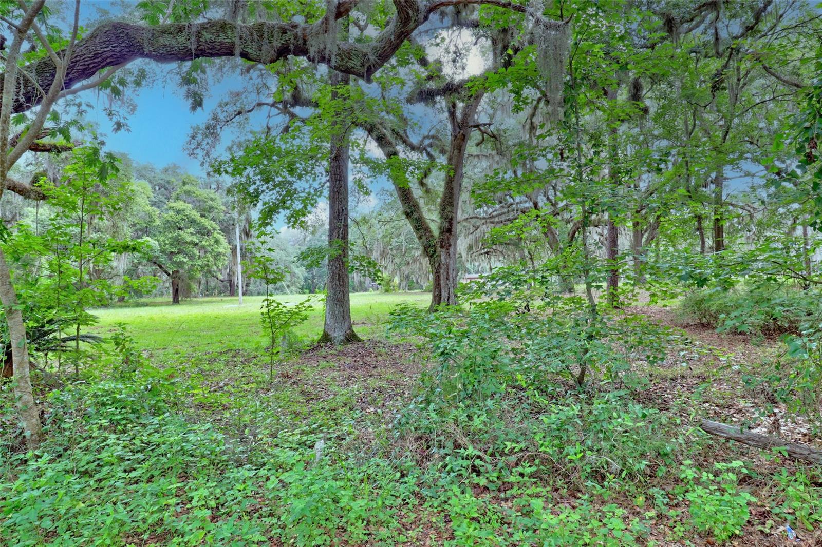 Image 15 of 16 For 202 Bostwick Cemetery Road 1