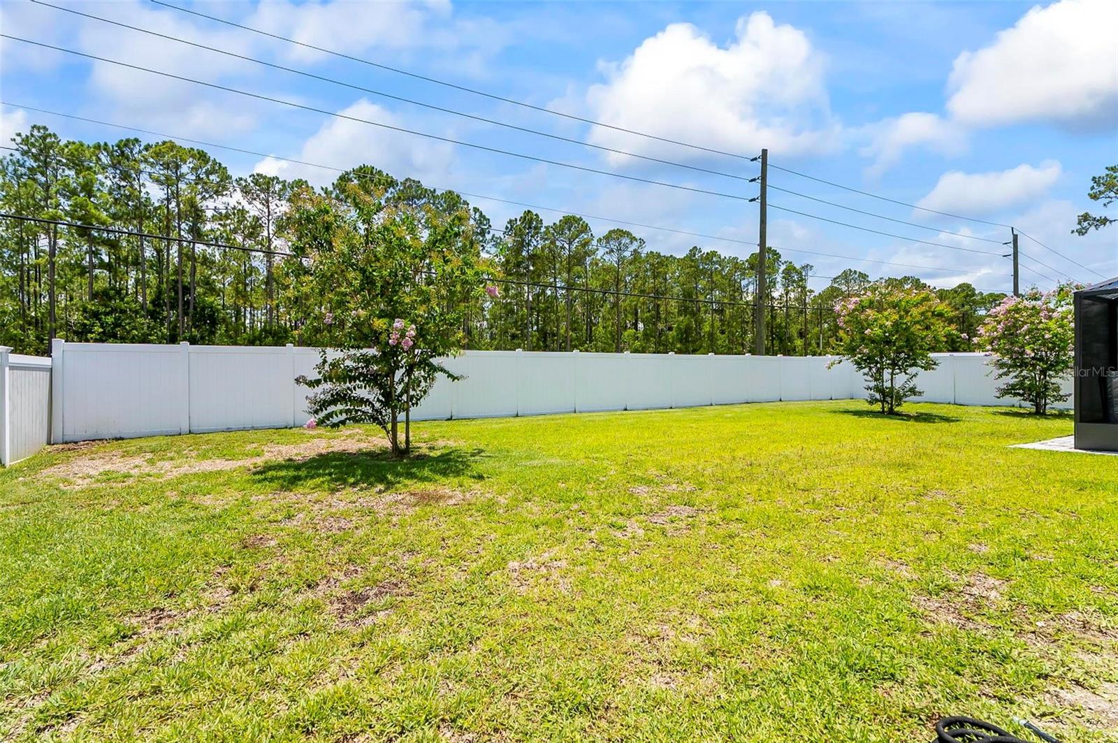 Image 30 of 37 For 53 Reidsville Drive