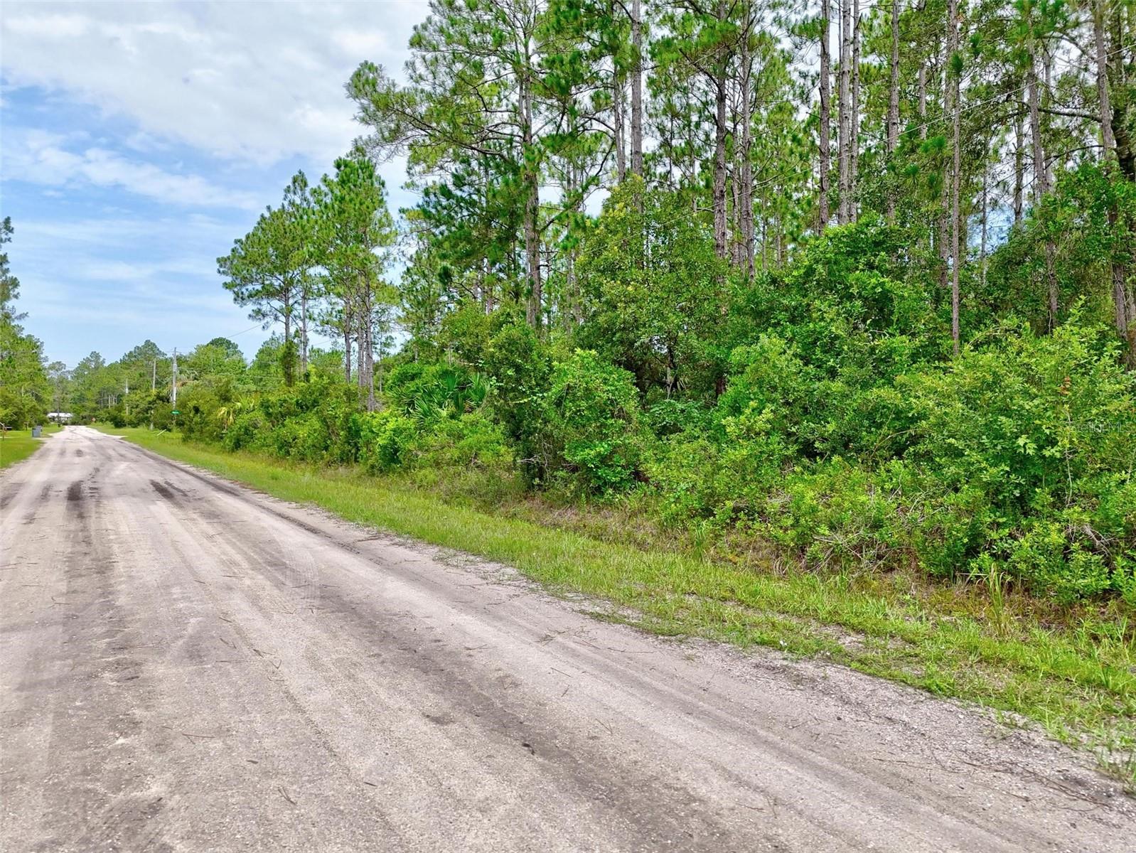 Details for 4168 Fruitwood Avenue, BUNNELL, FL 32110