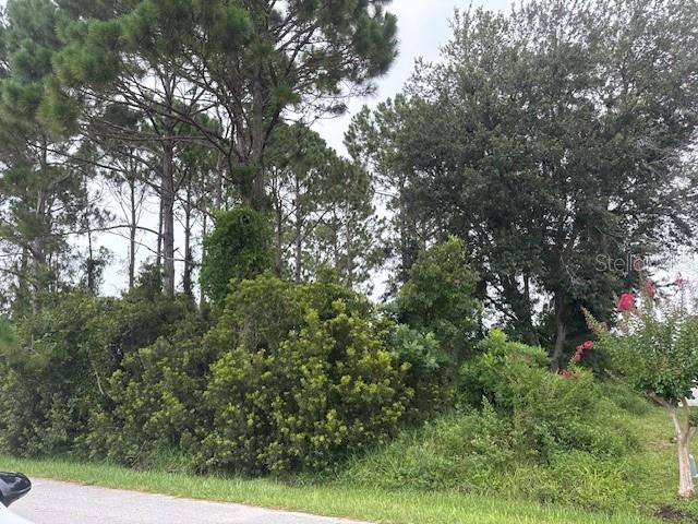 Details for 69 Felwood Lane, PALM COAST, FL 32137