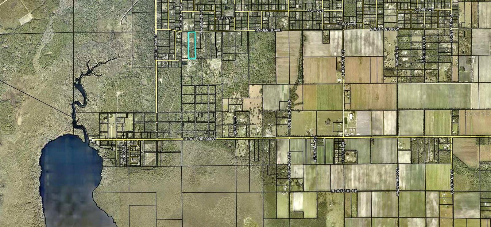 Image 34 of 34 For 6415 Tangerine Avenue