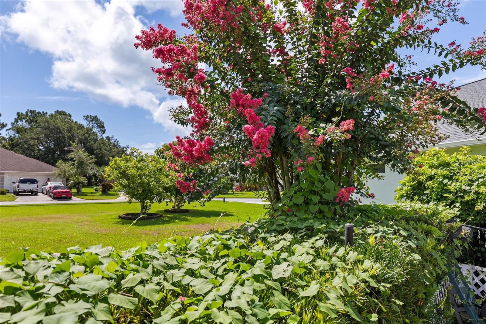 Image 55 of 83 For 6109 Sabal Point Circle