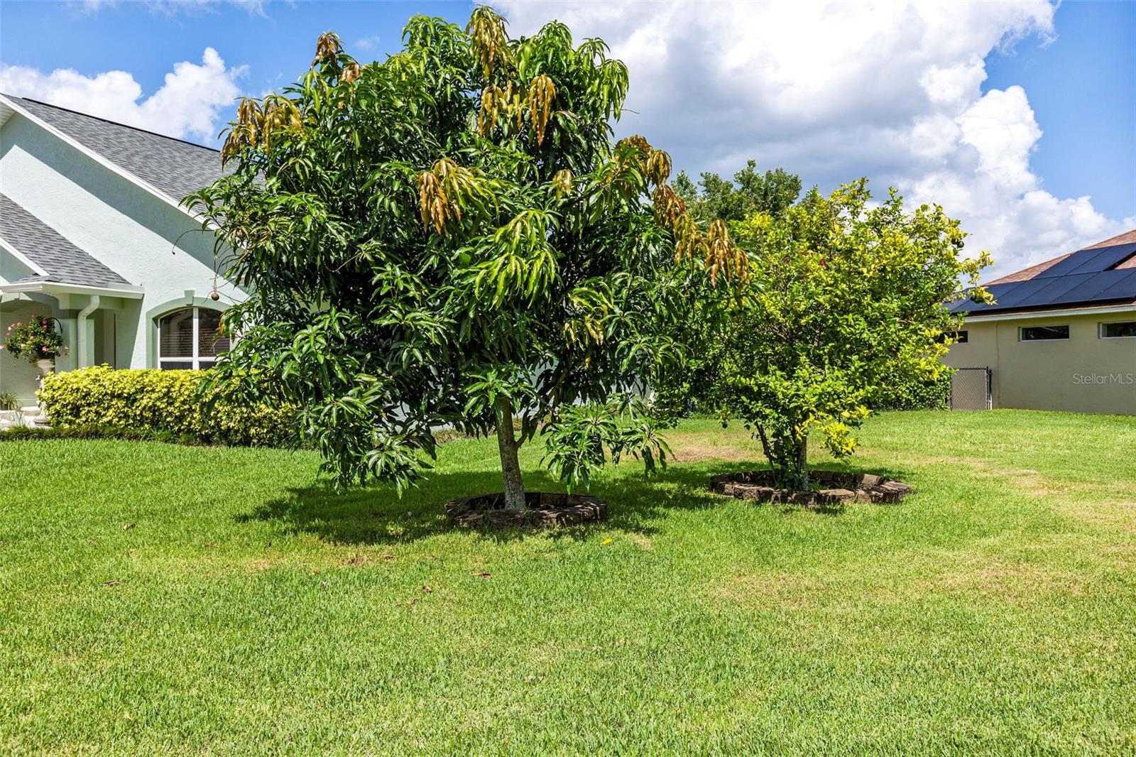 Image 79 of 83 For 6109 Sabal Point Circle