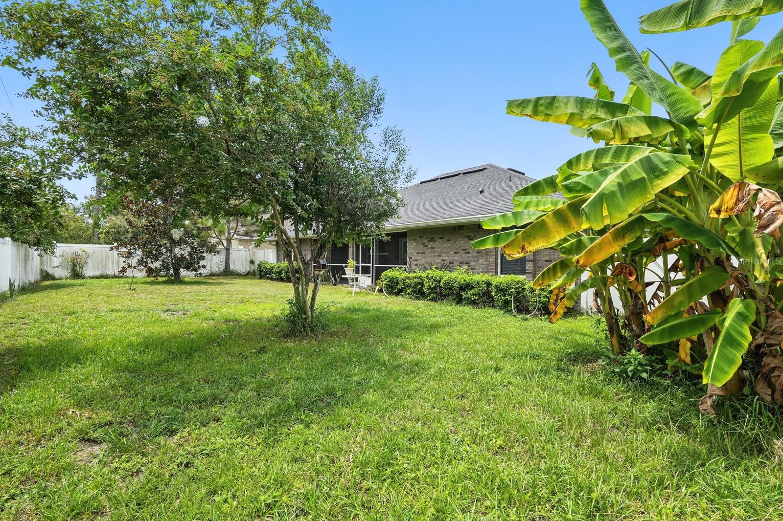 Image 31 of 41 For 8 Zorro Court