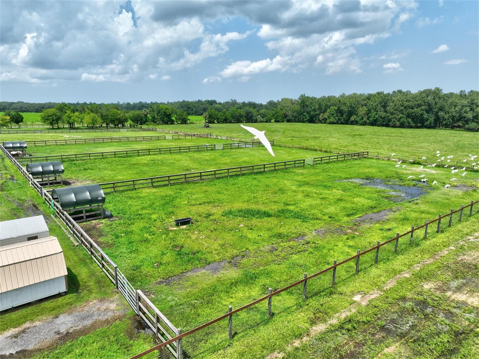 Image 35 of 84 For 596 County Road 90