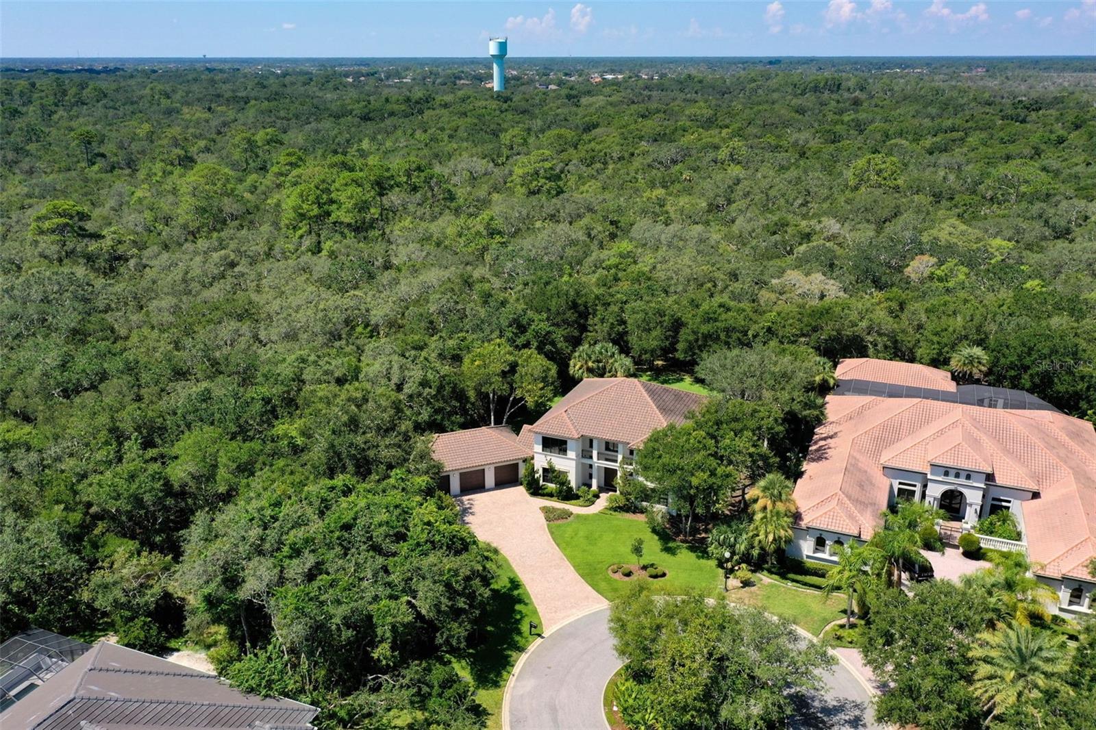 Image 71 of 100 For 7 Spanish Oaks Court