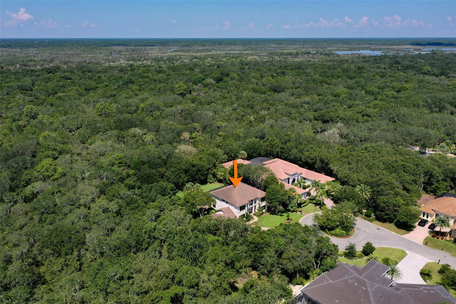 Image 74 of 100 For 7 Spanish Oaks Court