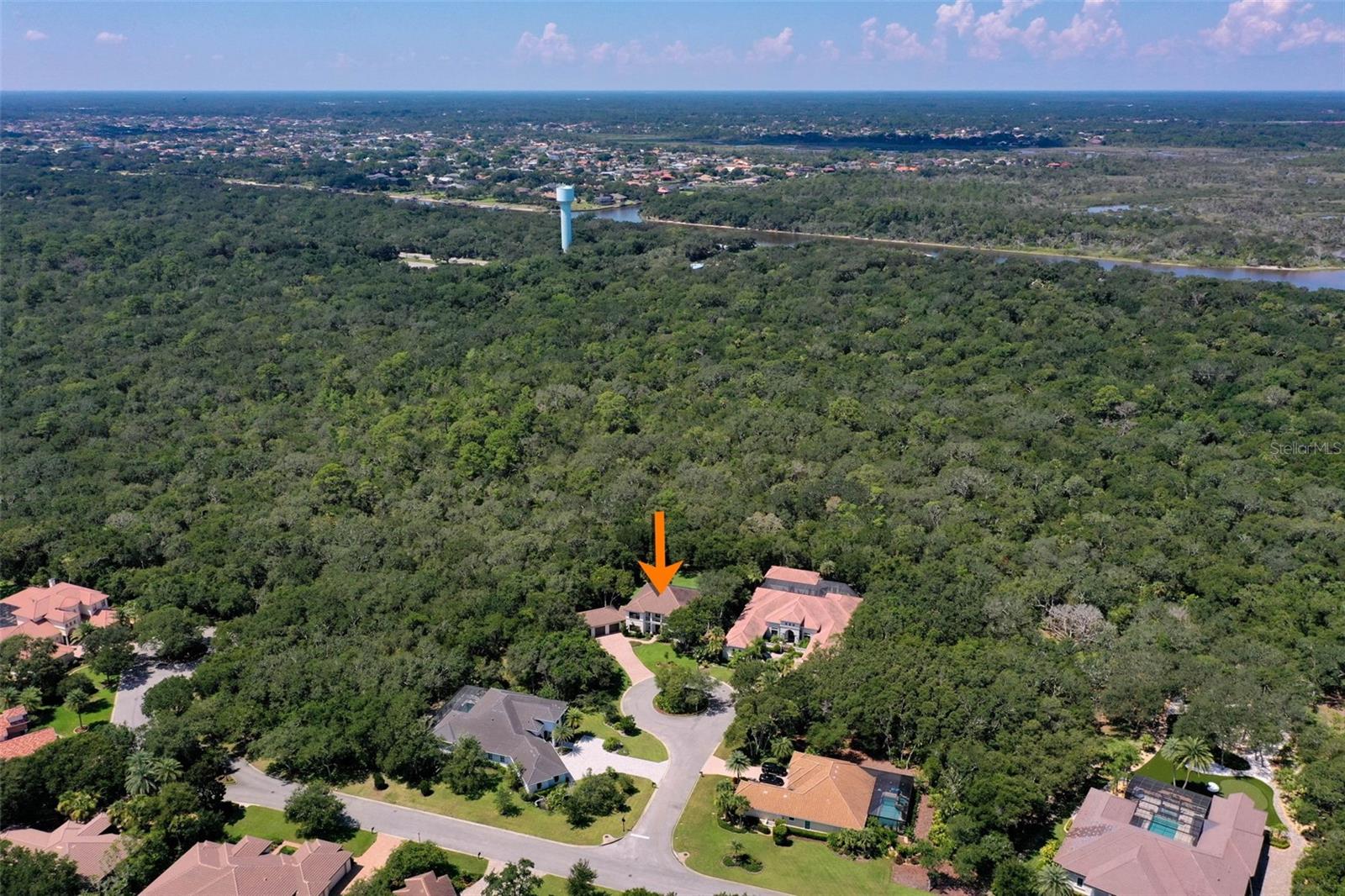 Image 79 of 100 For 7 Spanish Oaks Court