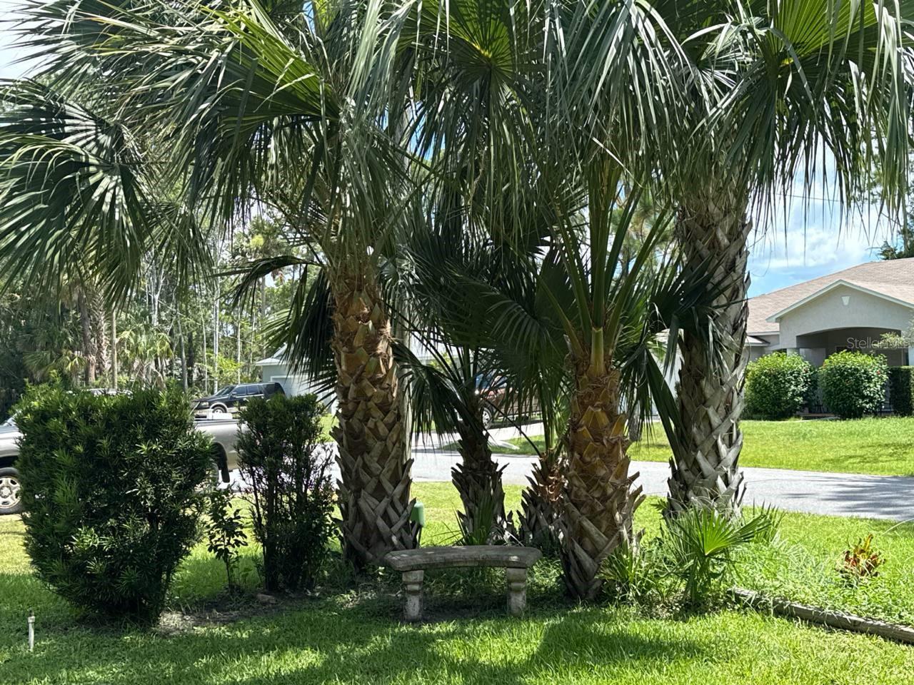 Image 2 of 28 For 107 Palmwood Drive
