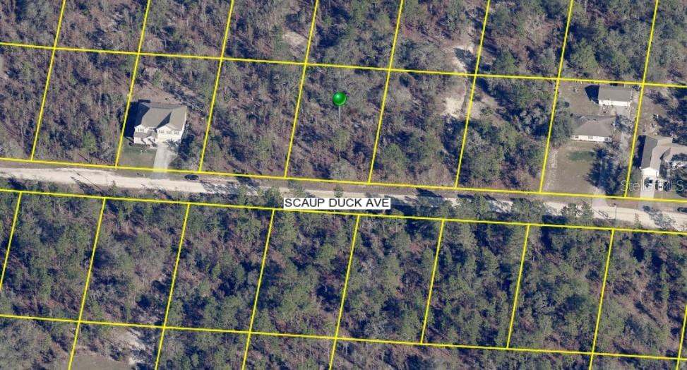 Details for 15163 Scaup Duck Avenue, WEEKI WACHEE, FL 34614