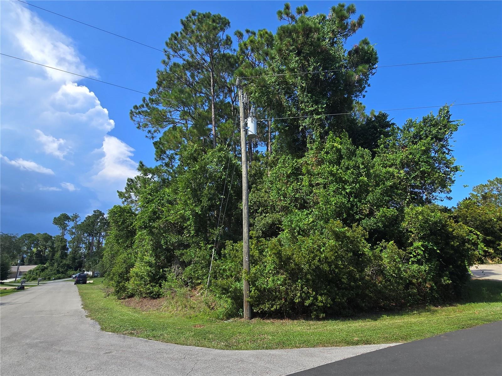 Details for 76 Wood Cedar Drive, PALM COAST, FL 32164