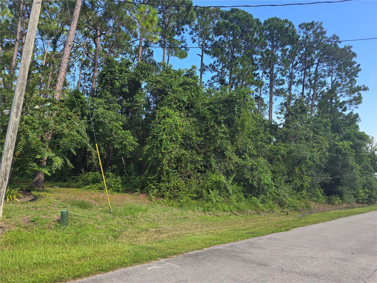 Image 9 of 10 For 76 Wood Cedar Drive