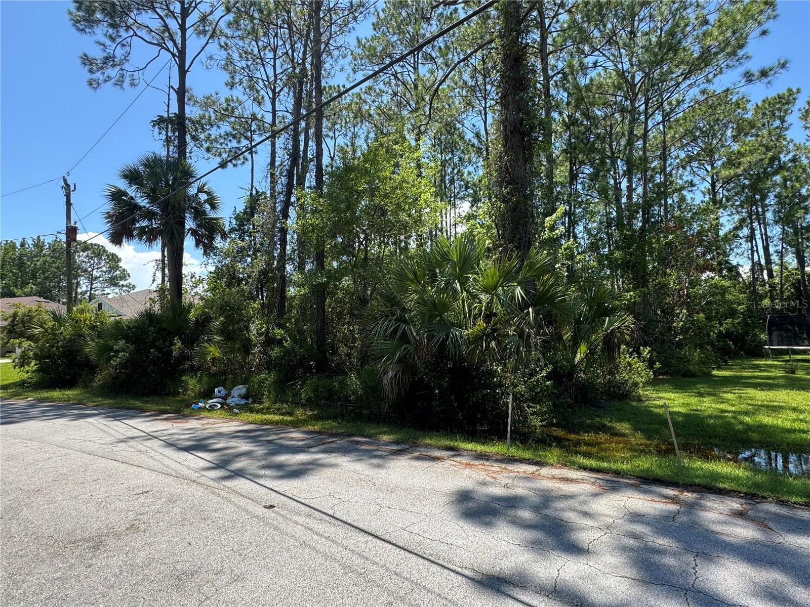 Image 2 of 5 For 4 Potterville Lane