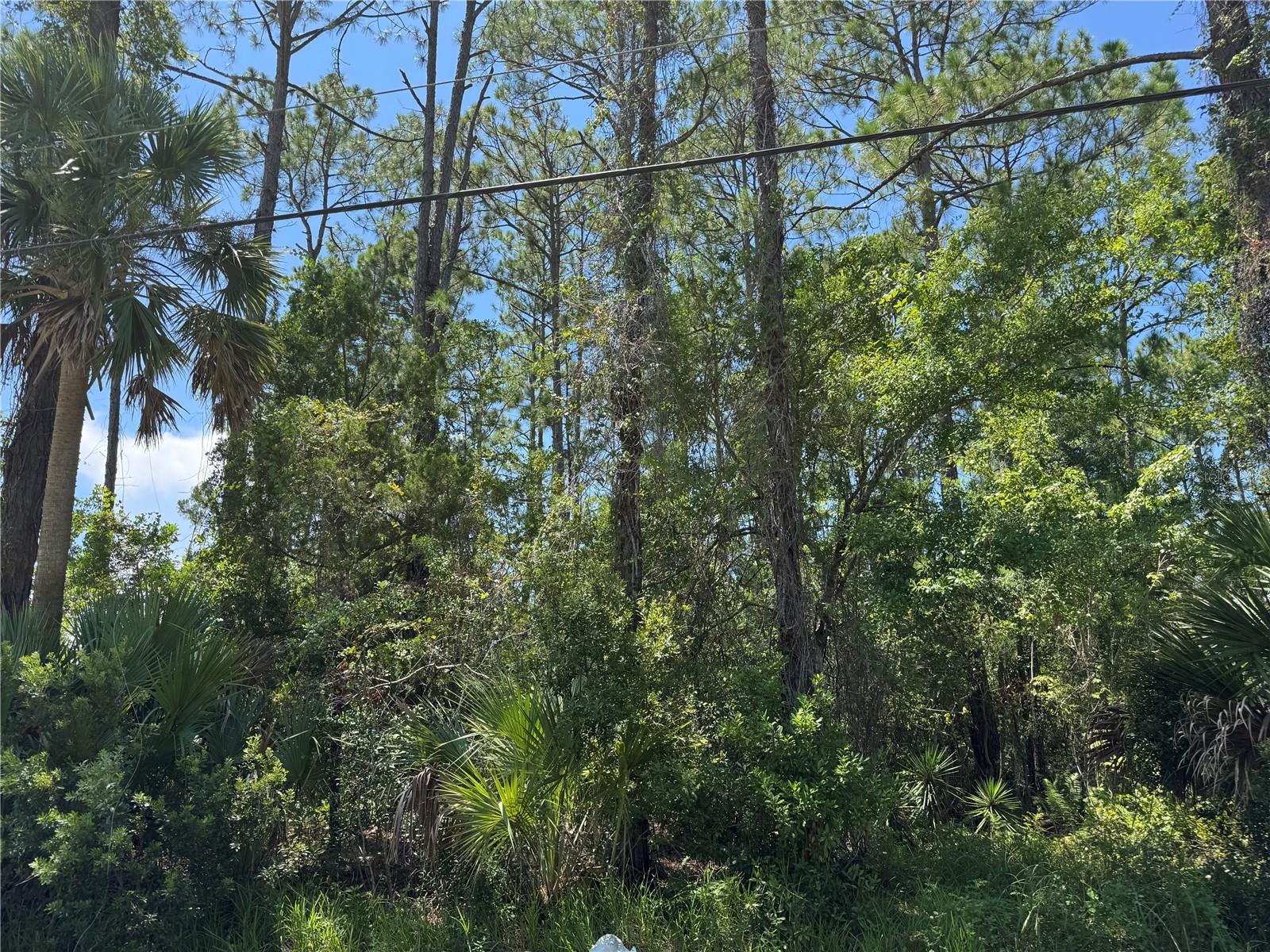 Image 5 of 5 For 4 Potterville Lane