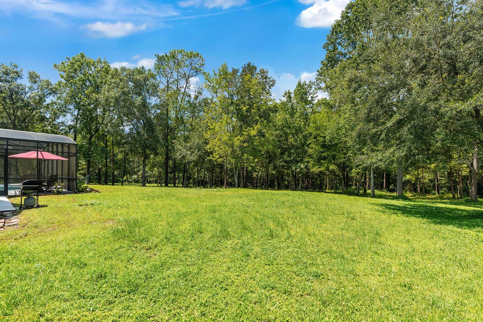 Image 54 of 60 For 802 Hamilton Drive