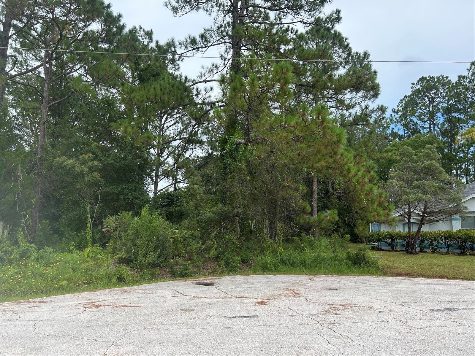 Details for 9 Rainrock Place, PALM COAST, FL 32164