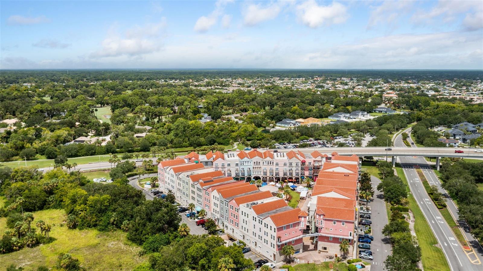 Image 56 of 60 For 101 Palm Harbor Parkway A101 & 102