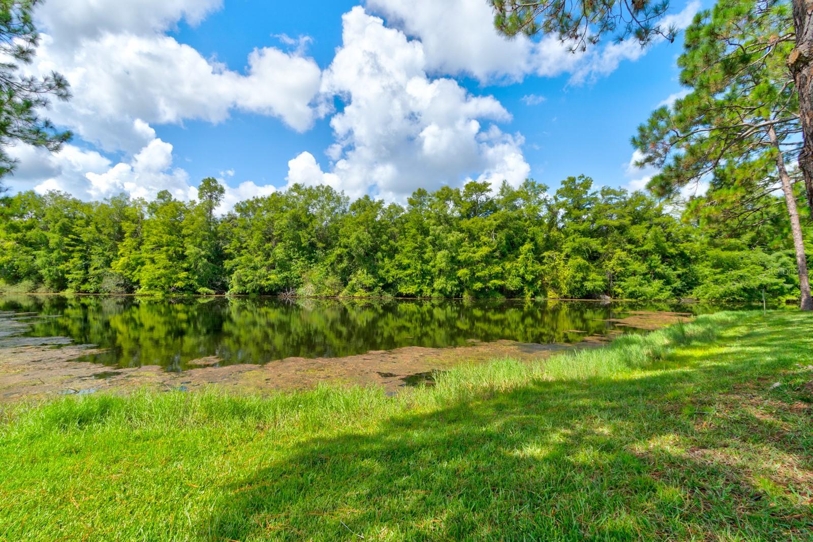 Image 24 of 28 For 116 Duck Hawk Circle 3040