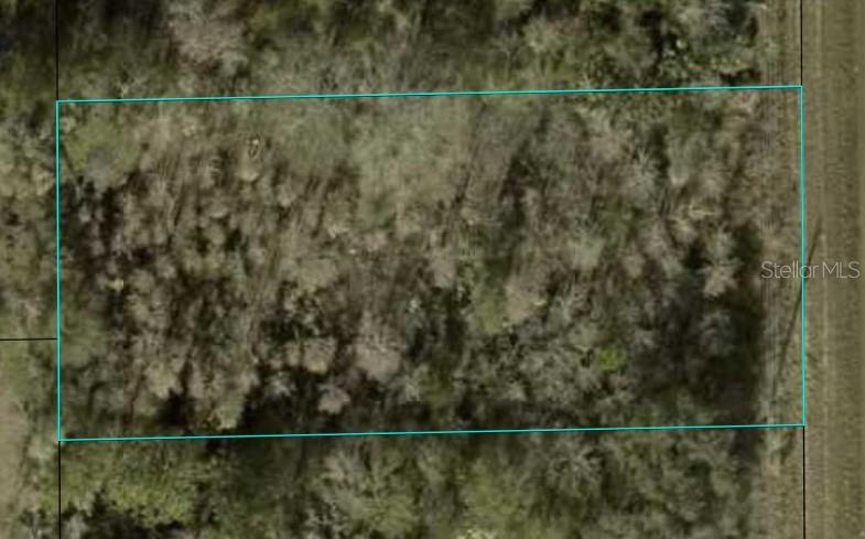 Details for 1366 County Road 305, BUNNELL, FL 32110