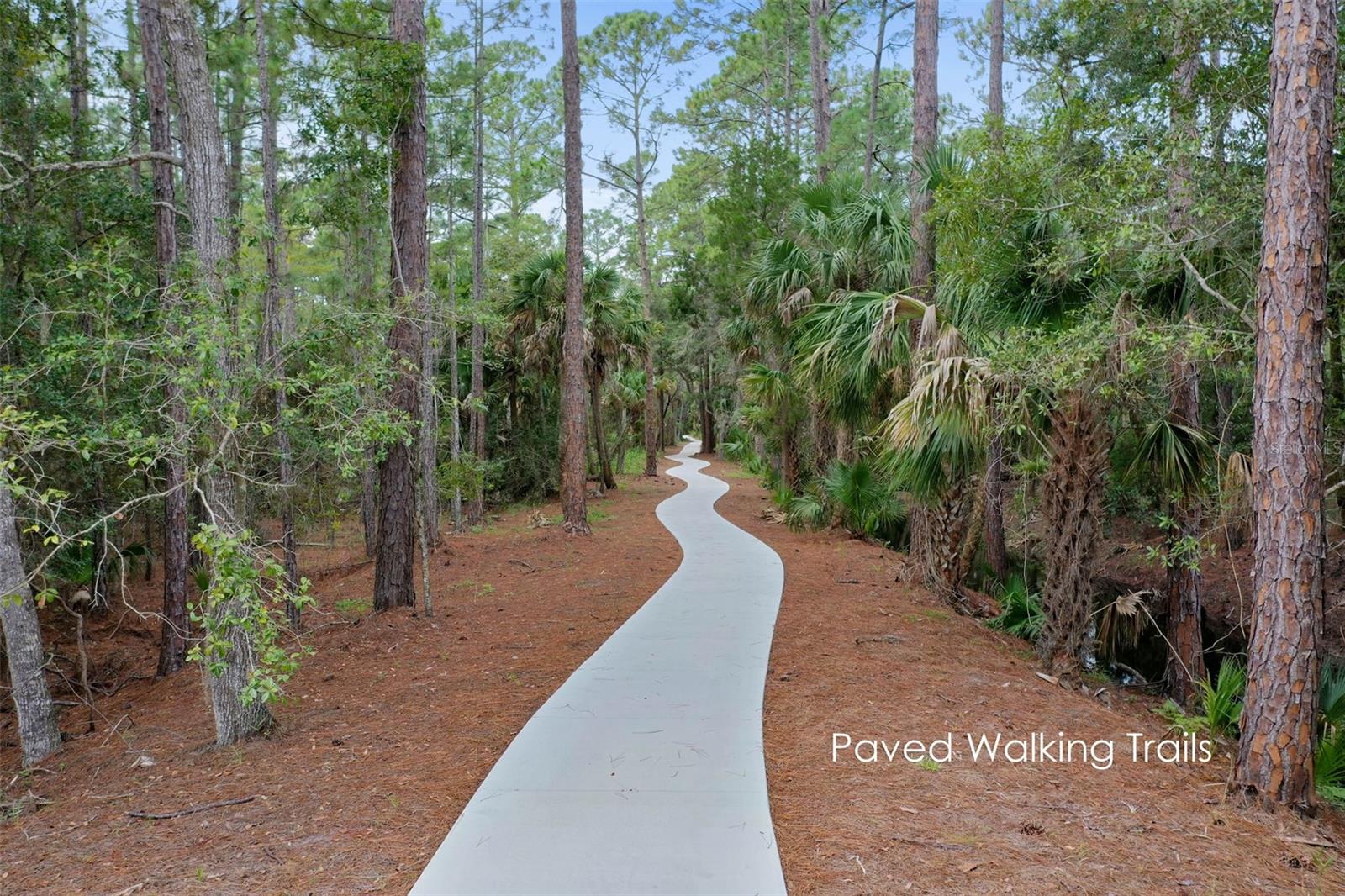 Image 65 of 99 For 3 Treetop Trail