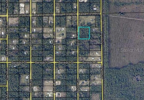 Details for 10420 Baylor Avenue, HASTINGS, FL 32145