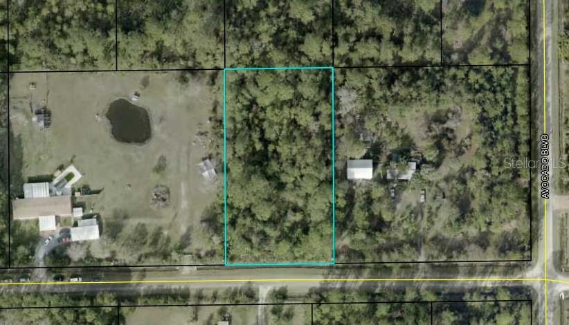 Image 4 of 4 For 6044 Nutwood Avenue