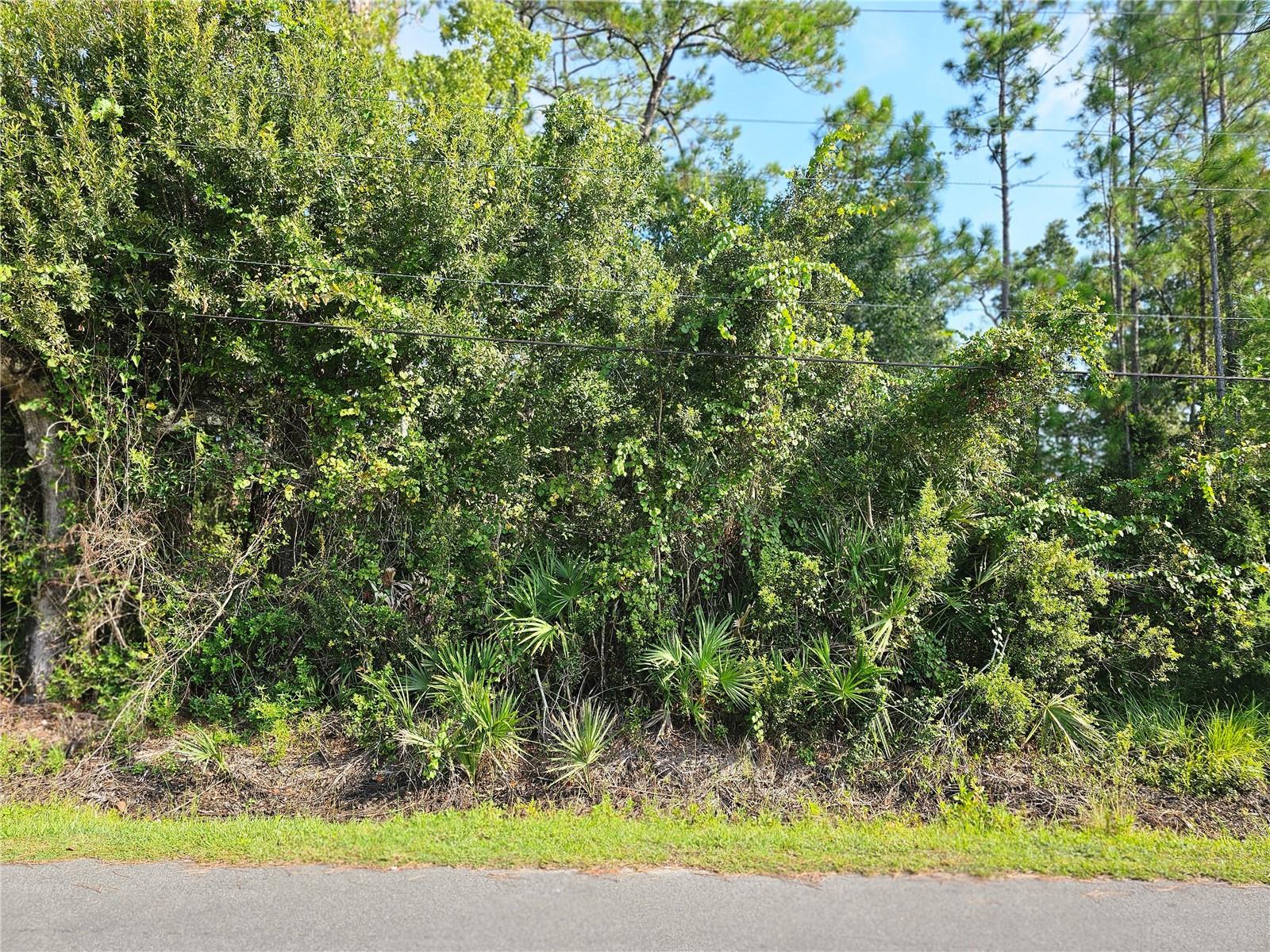 Details for 801 Franz Street, BUNNELL, FL 32110