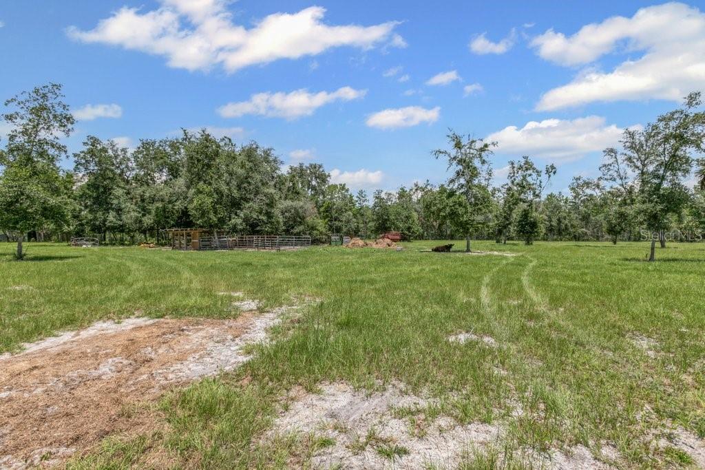 Image 39 of 53 For 237 Little Orange Creek Road