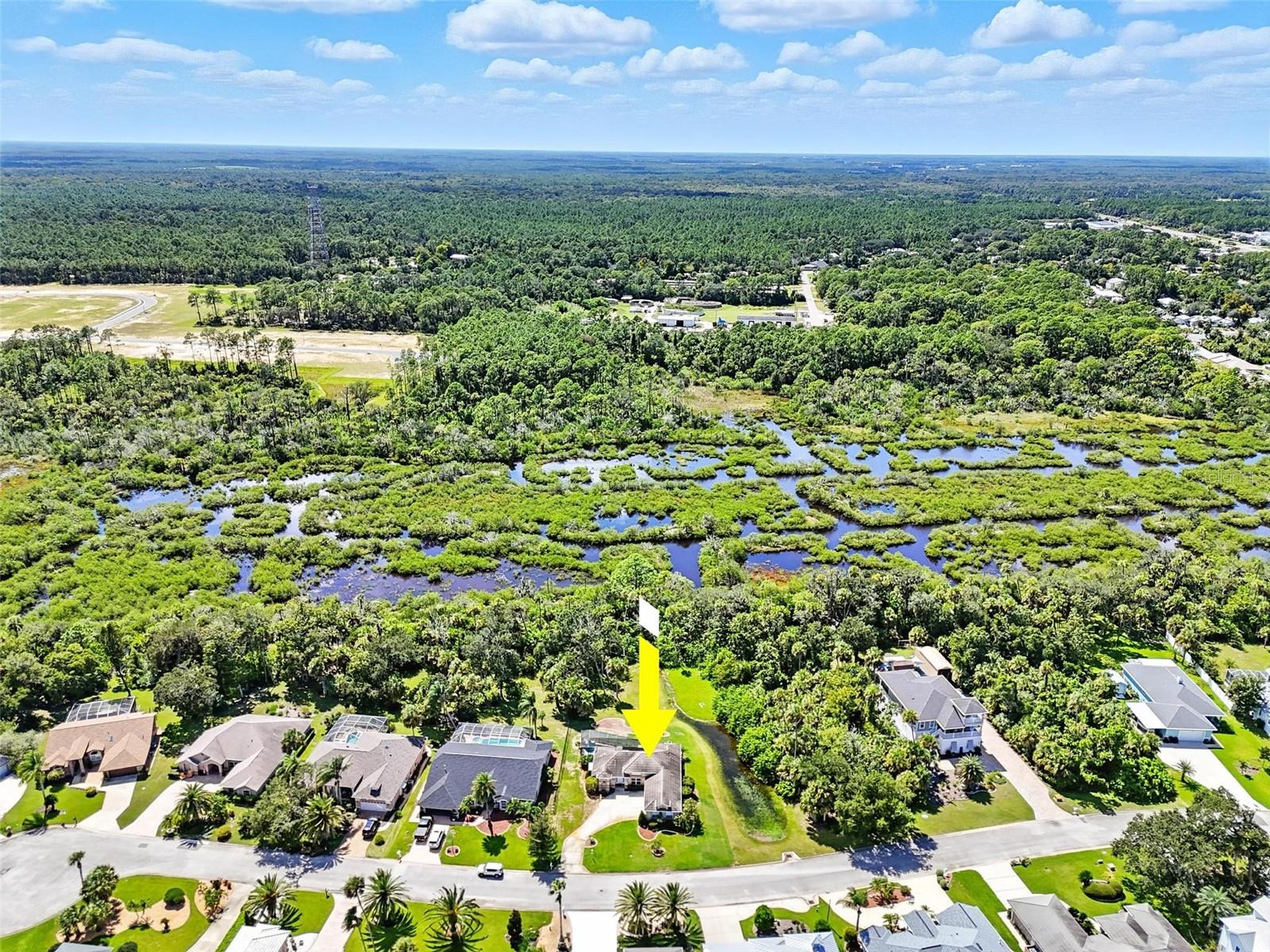 Image 53 of 55 For 412 Palm Drive