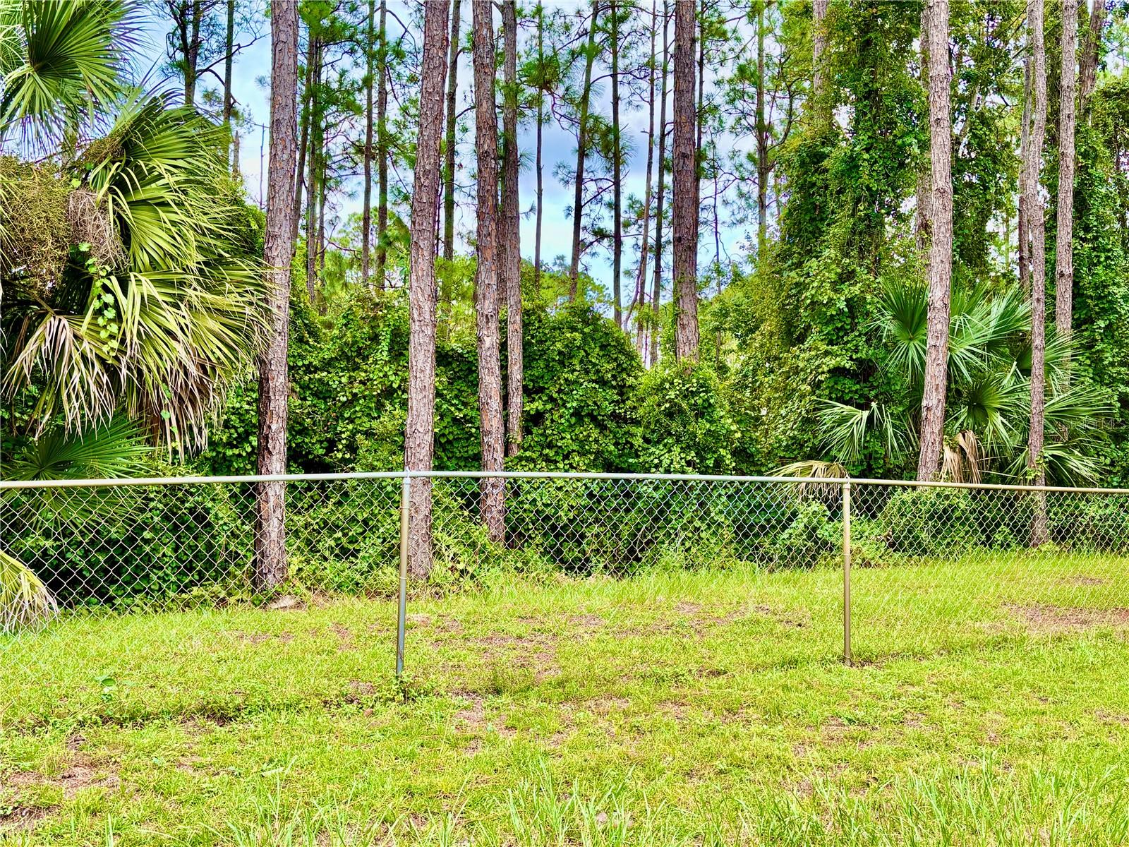 Image 33 of 40 For 12 Regency Drive