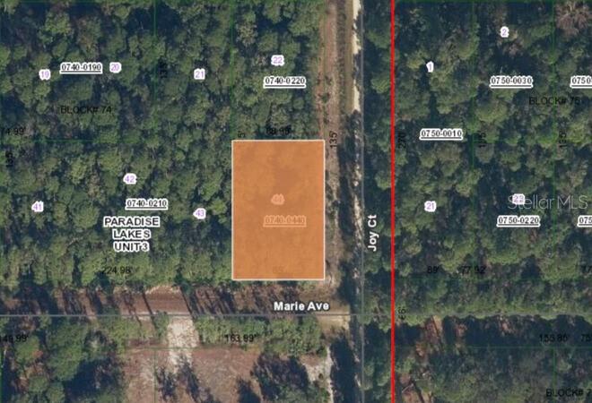 Listing Details for 00 Marie Avenue, GEORGETOWN, FL 32139