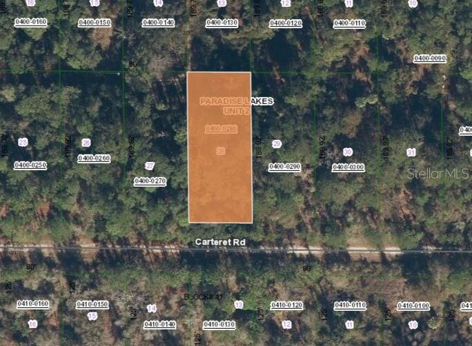 Listing Details for 314 Carteret Road, GEORGETOWN, FL 32139