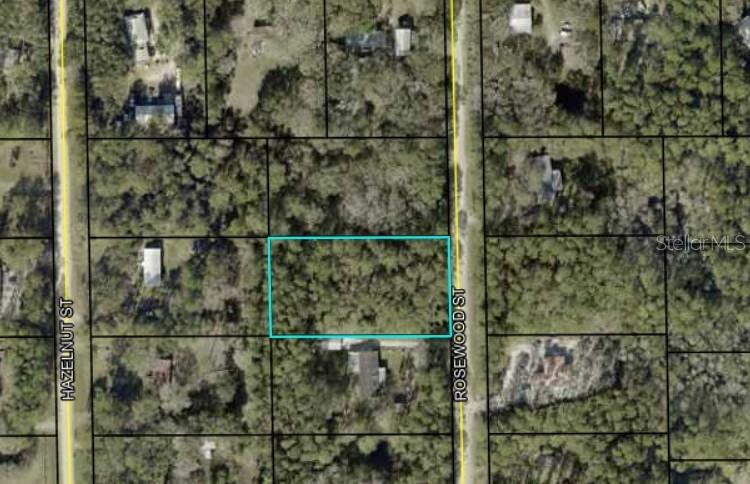 Details for 1102 Rosewood Street, BUNNELL, FL 32110