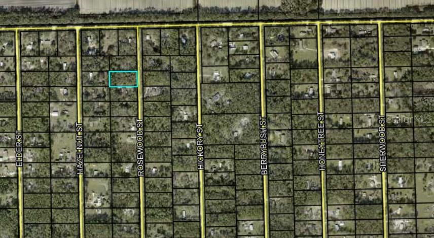 Image 2 of 3 For 1102 Rosewood Street