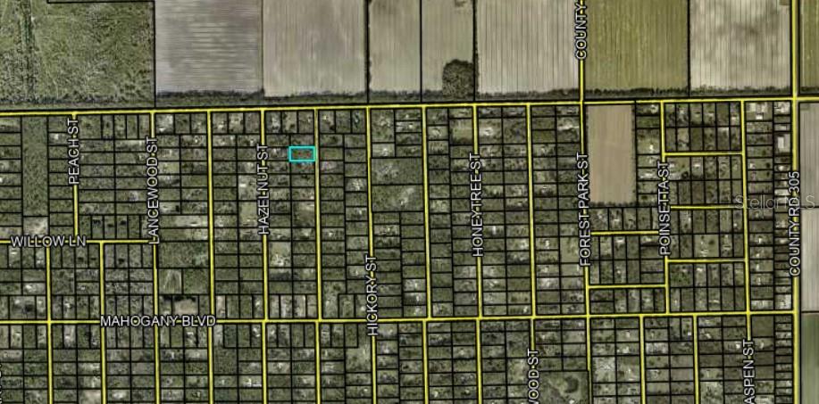 Image 3 of 3 For 1102 Rosewood Street
