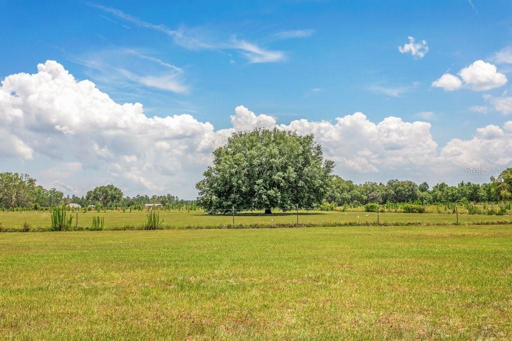 Image 93 of 95 For 641 State Road 100