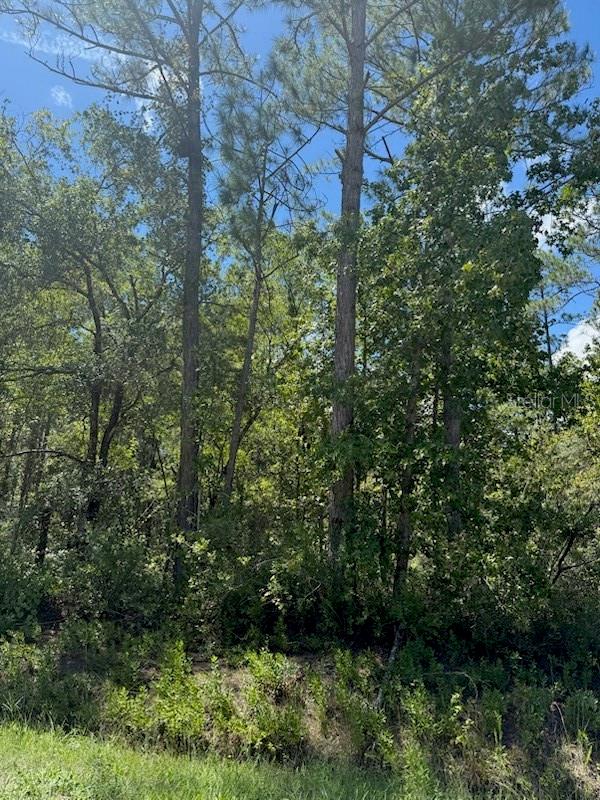 Details for 10345 Gregory Avenue, HASTINGS, FL 32145