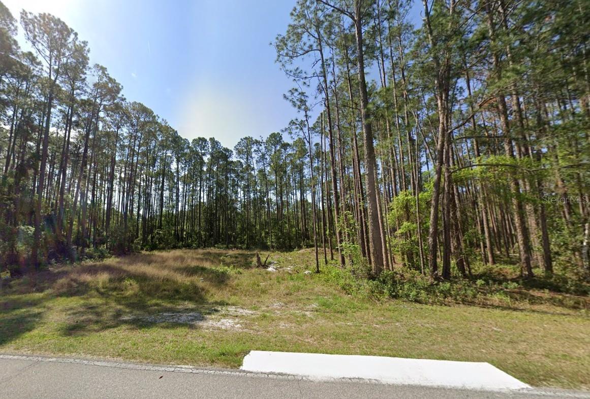 Details for 243 & 245 Georgetown Denver Road, GEORGETOWN, FL 32139