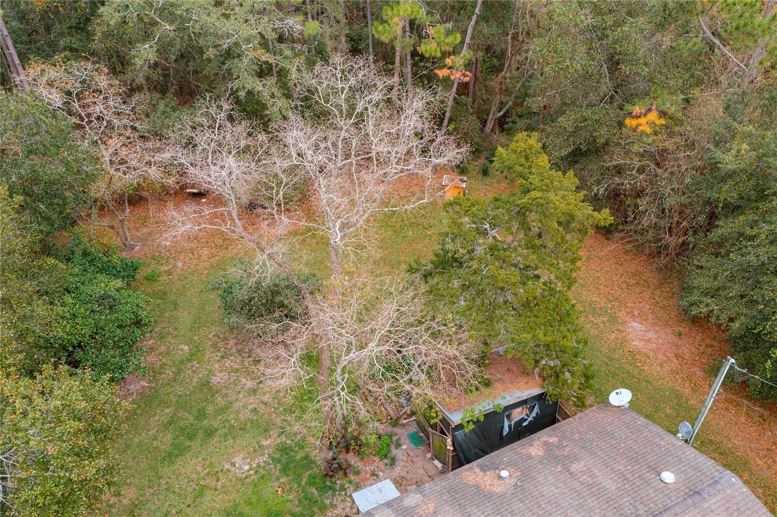 Image 10 of 22 For 11595 Normandy Boulevard