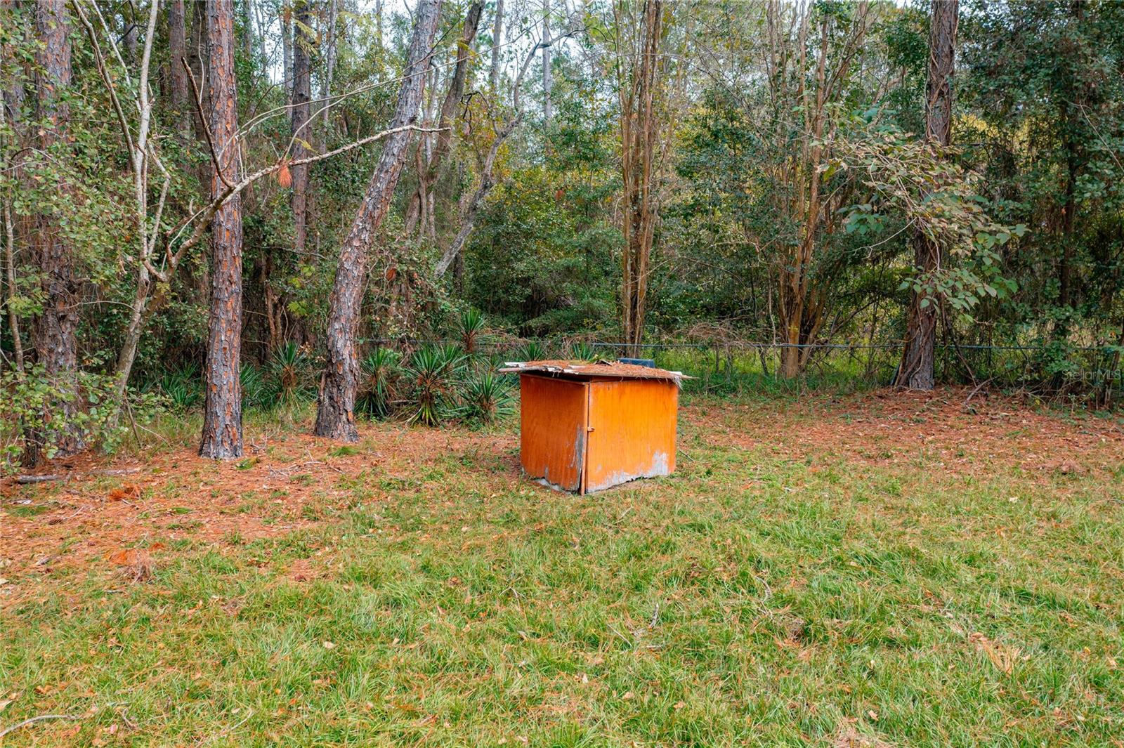 Image 13 of 22 For 11595 Normandy Boulevard