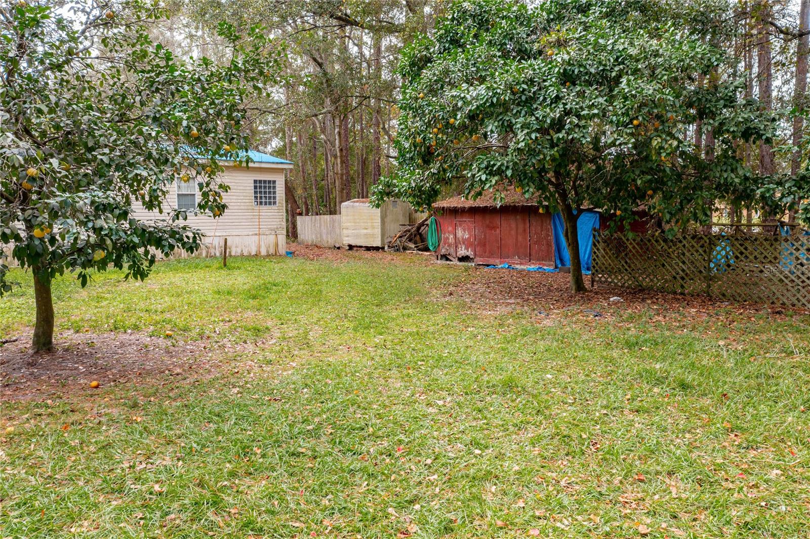 Image 16 of 22 For 11595 Normandy Boulevard