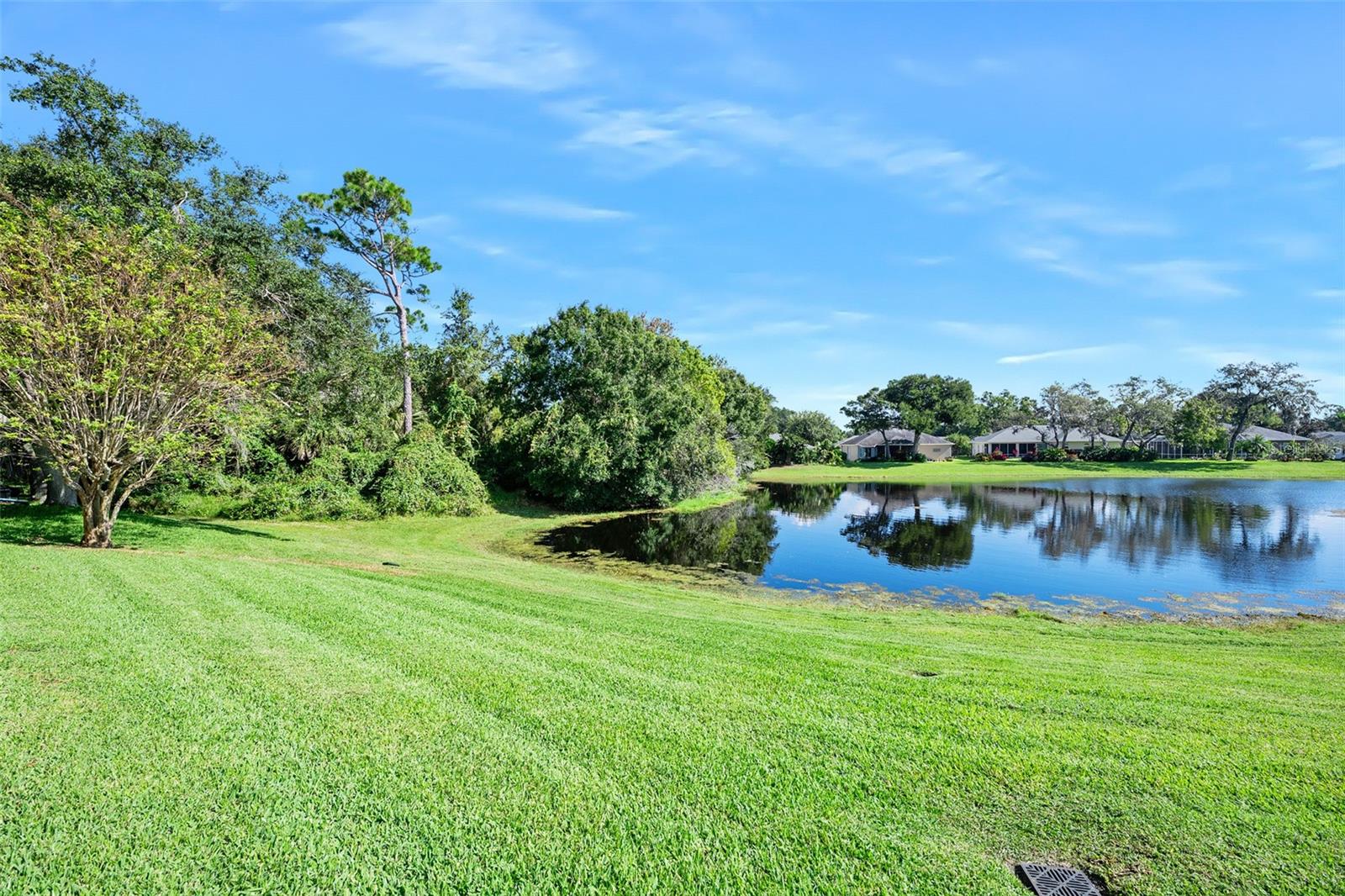 Image 4 of 50 For 965 Countryside West Boulevard