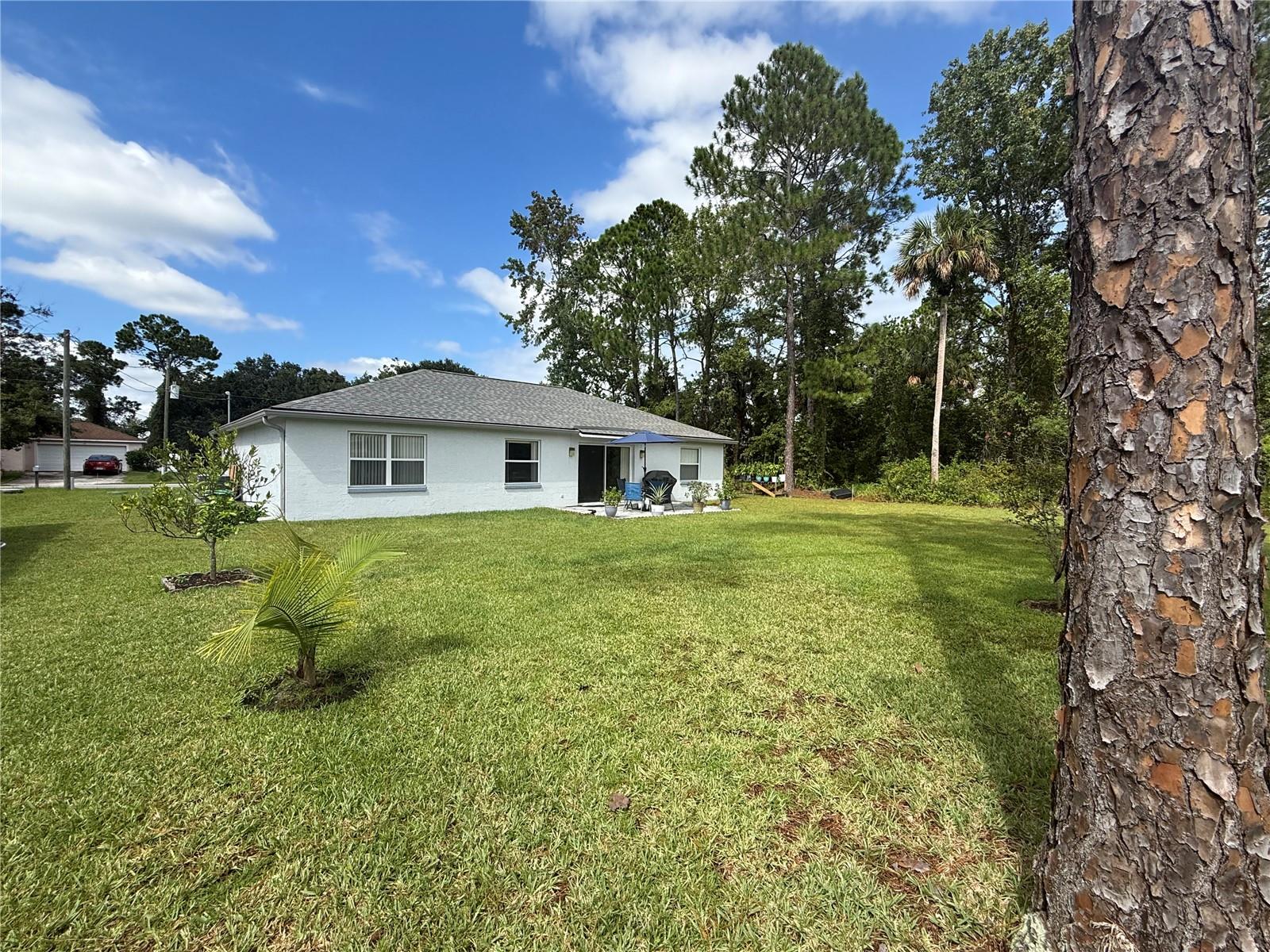 Image 5 of 60 For 24 Radcliffe Drive