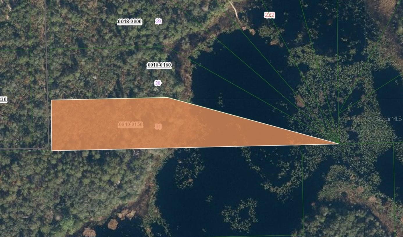 Details for Xx Creasman Road, CRESCENT CITY, FL 32112