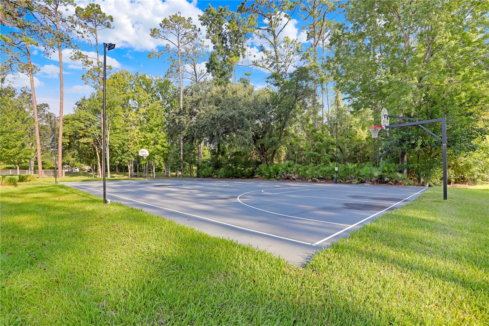 Image 65 of 80 For 2216 Salt Myrtle Lane