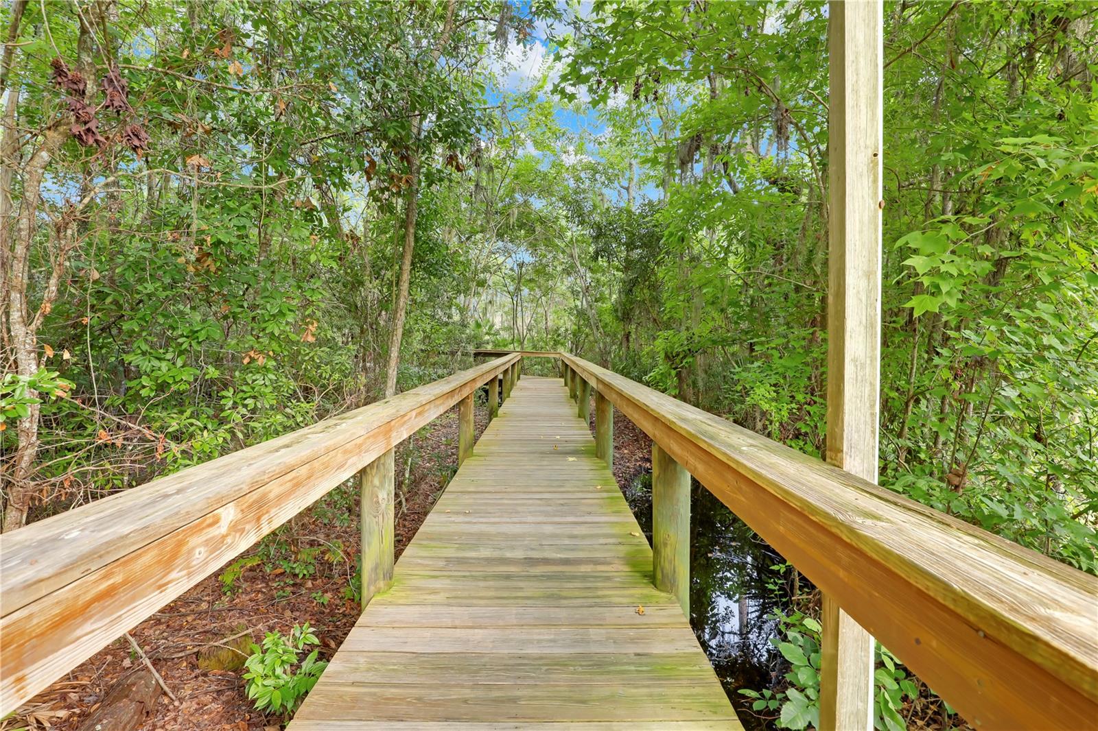 Image 73 of 80 For 2216 Salt Myrtle Lane