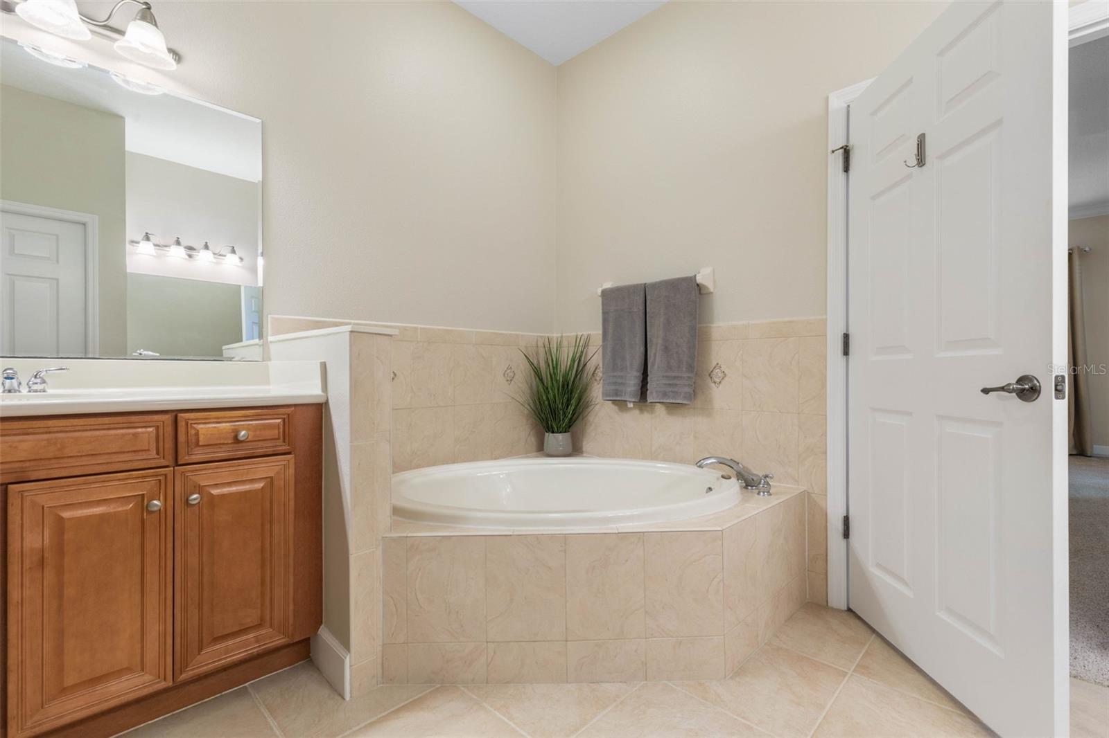 Image 21 of 87 For 300 Cinnamon Beach Way 235