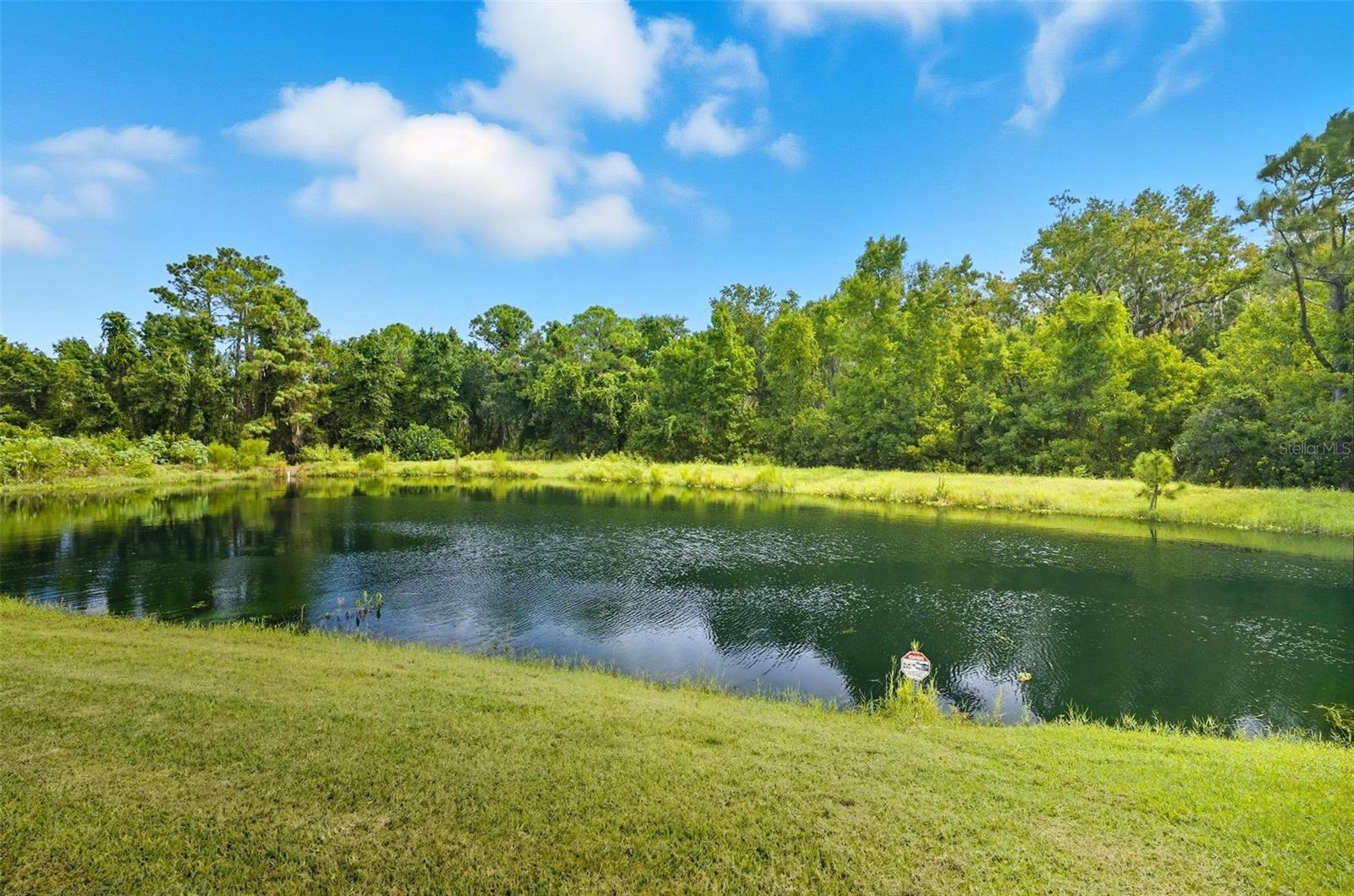 Image 48 of 55 For 51 Graham Woods Place