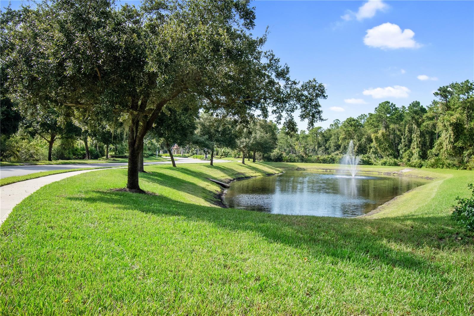 Image 60 of 66 For 51 Graham Woods Place