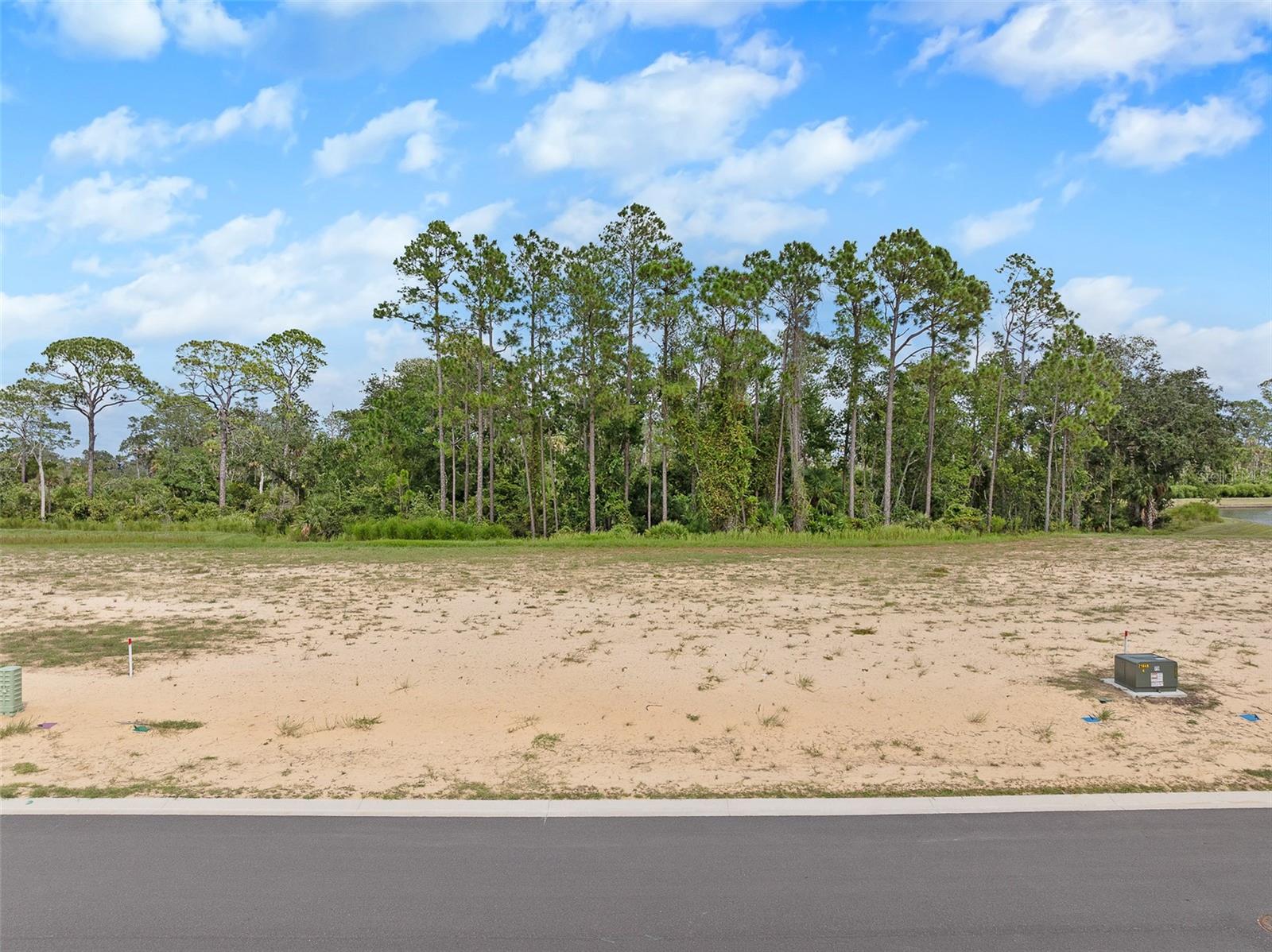 Image 4 of 38 For 208 Stillwater Drive
